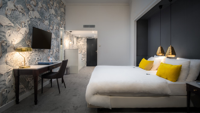 Superior Plus Room